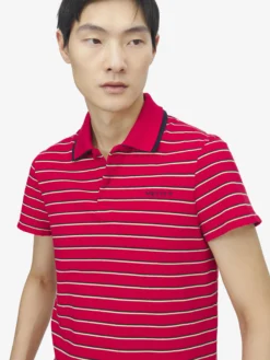 Polo a righe da Uomo in Rosso